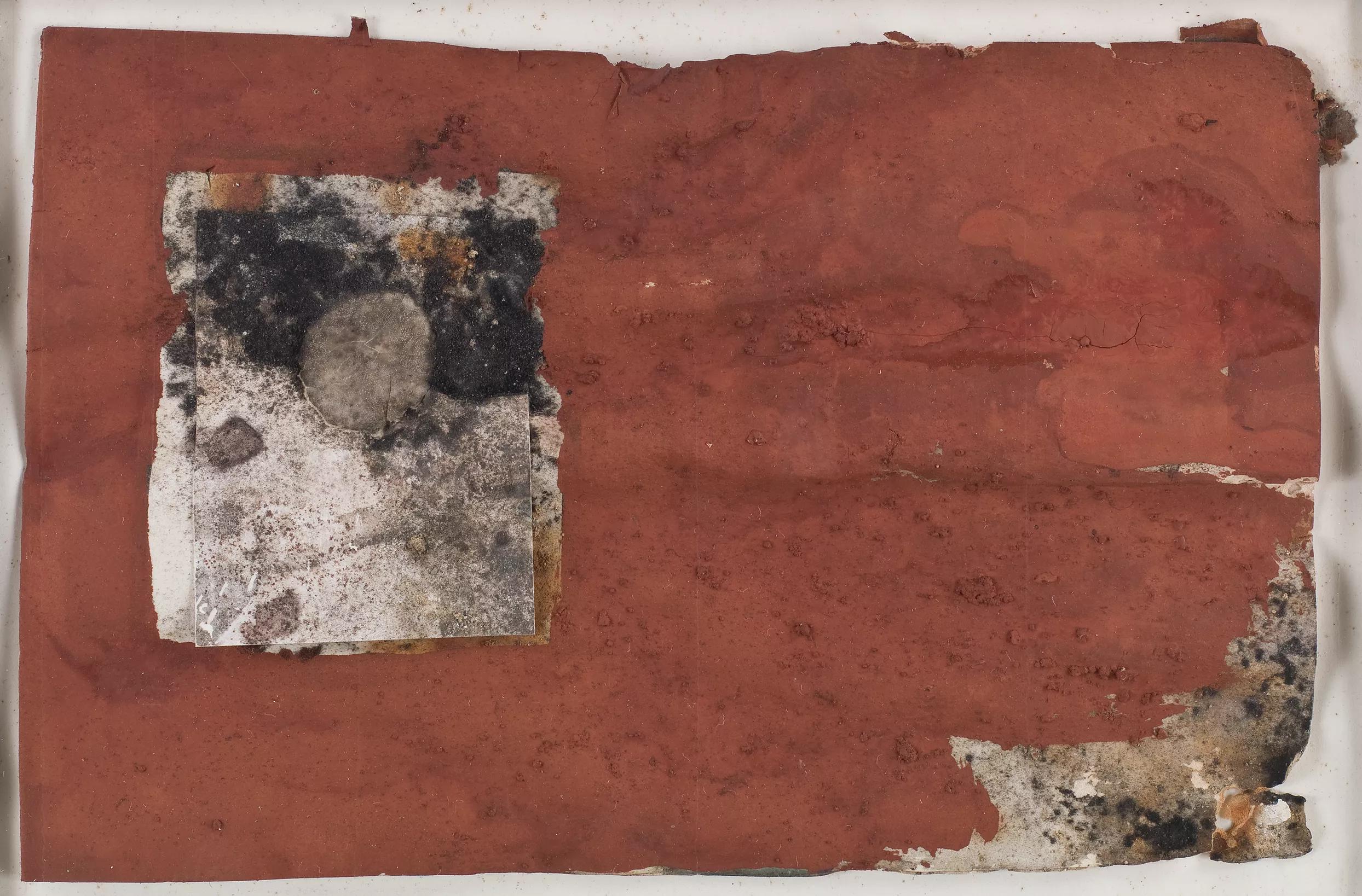 Image for exhibition 