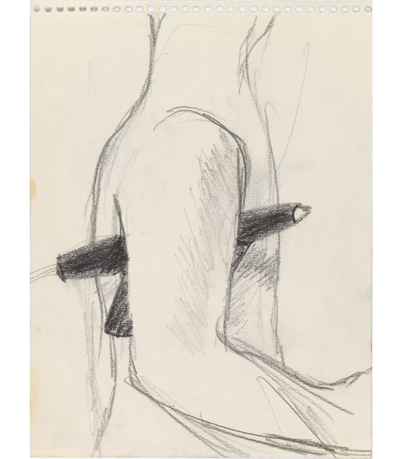 Image for exhibition titled Lee Lozano
