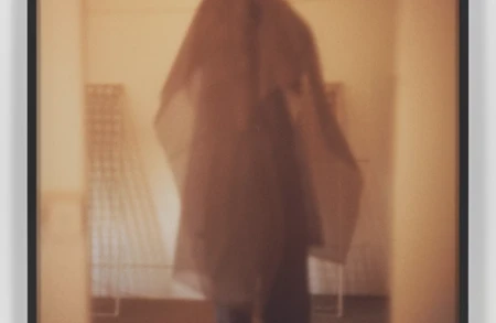 Thumbnail image for event called Opening reception: ‘Personal Private Public’