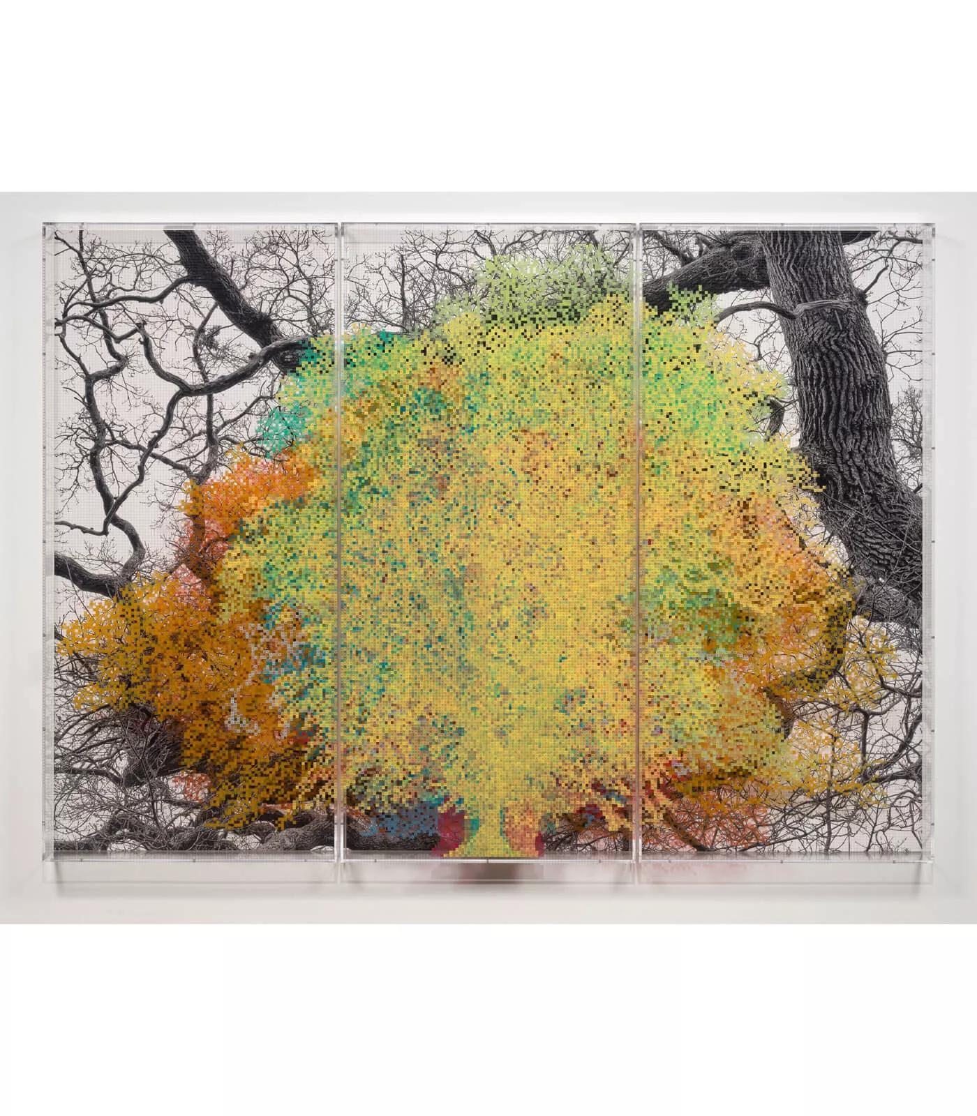 Image for exhibition titled Charles Gaines