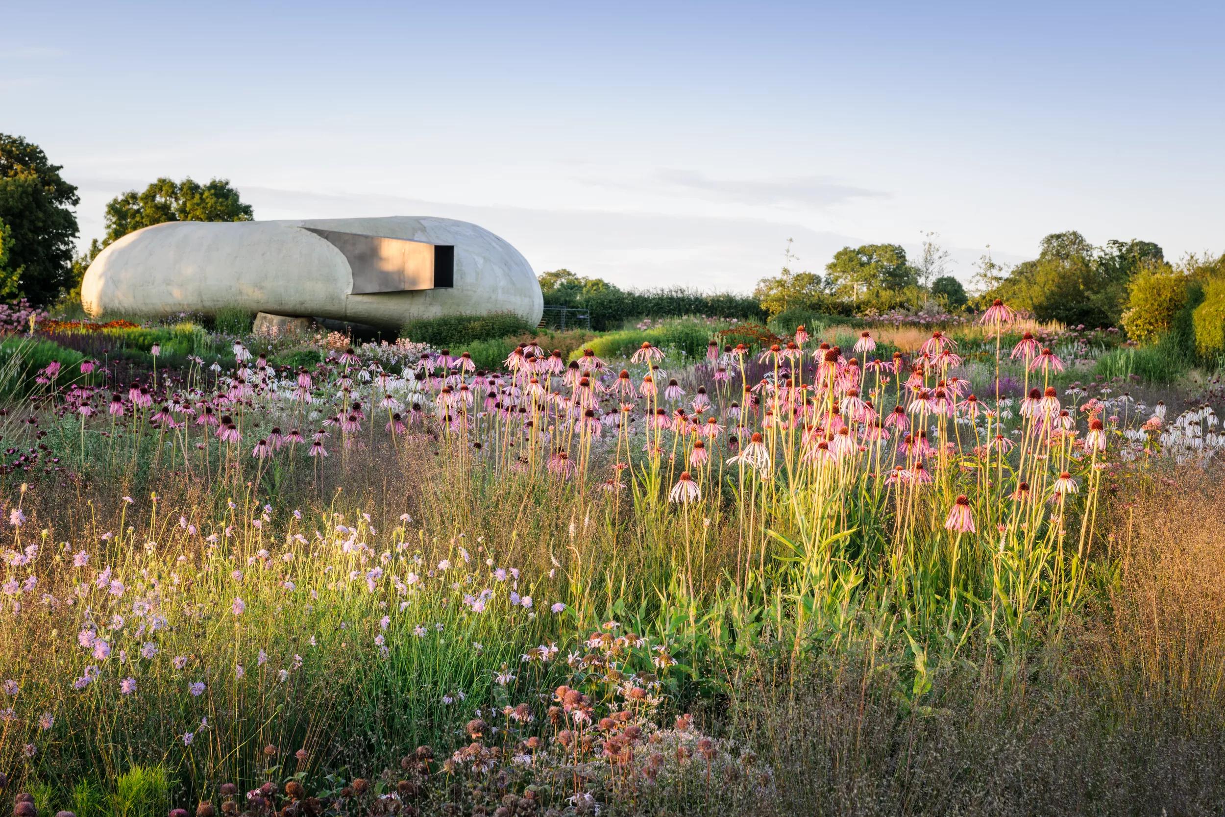 Hero image for event titled In Conversation: ‘How Gardens Shape Us’ 