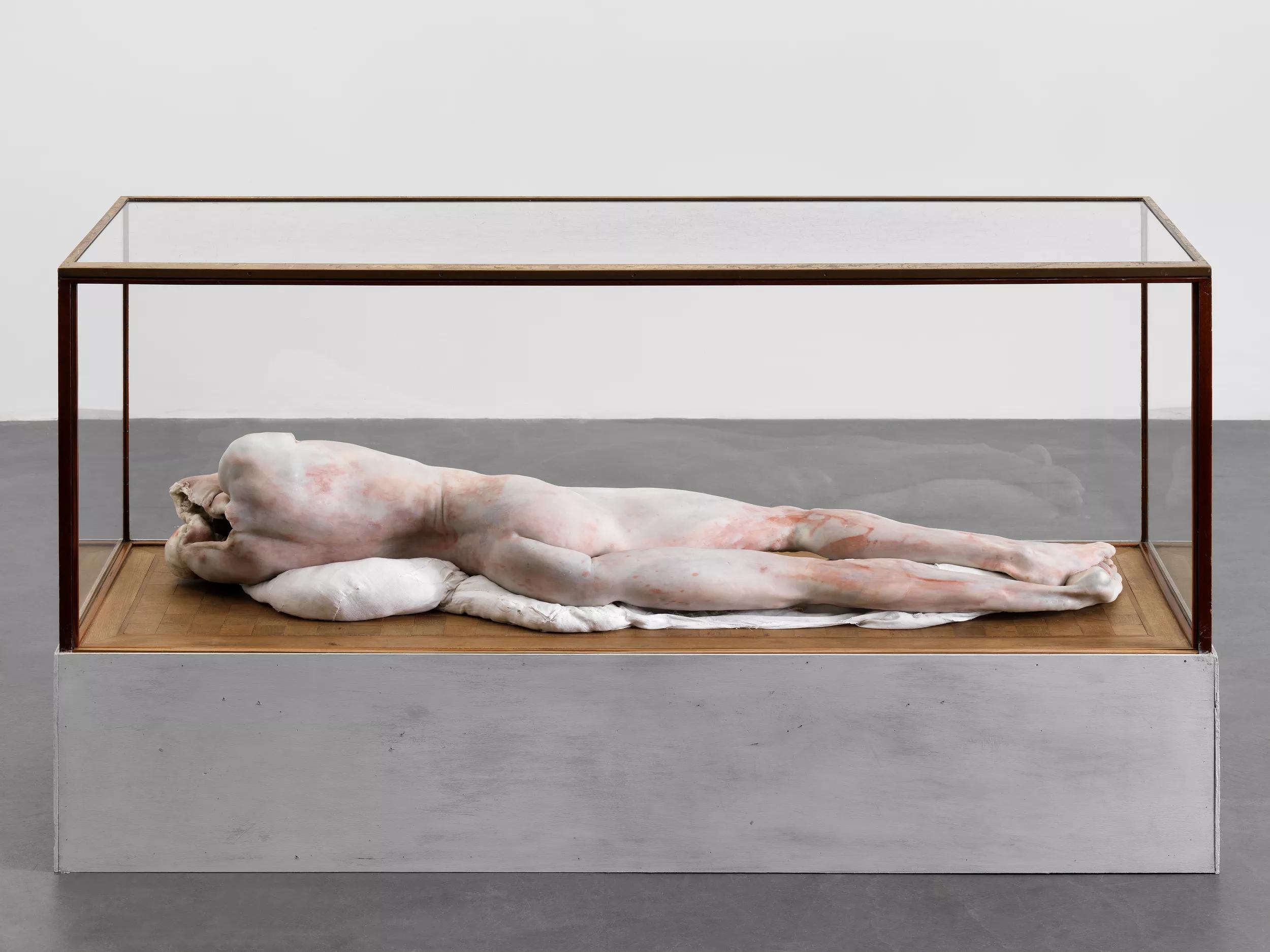 Image for exhibition 
