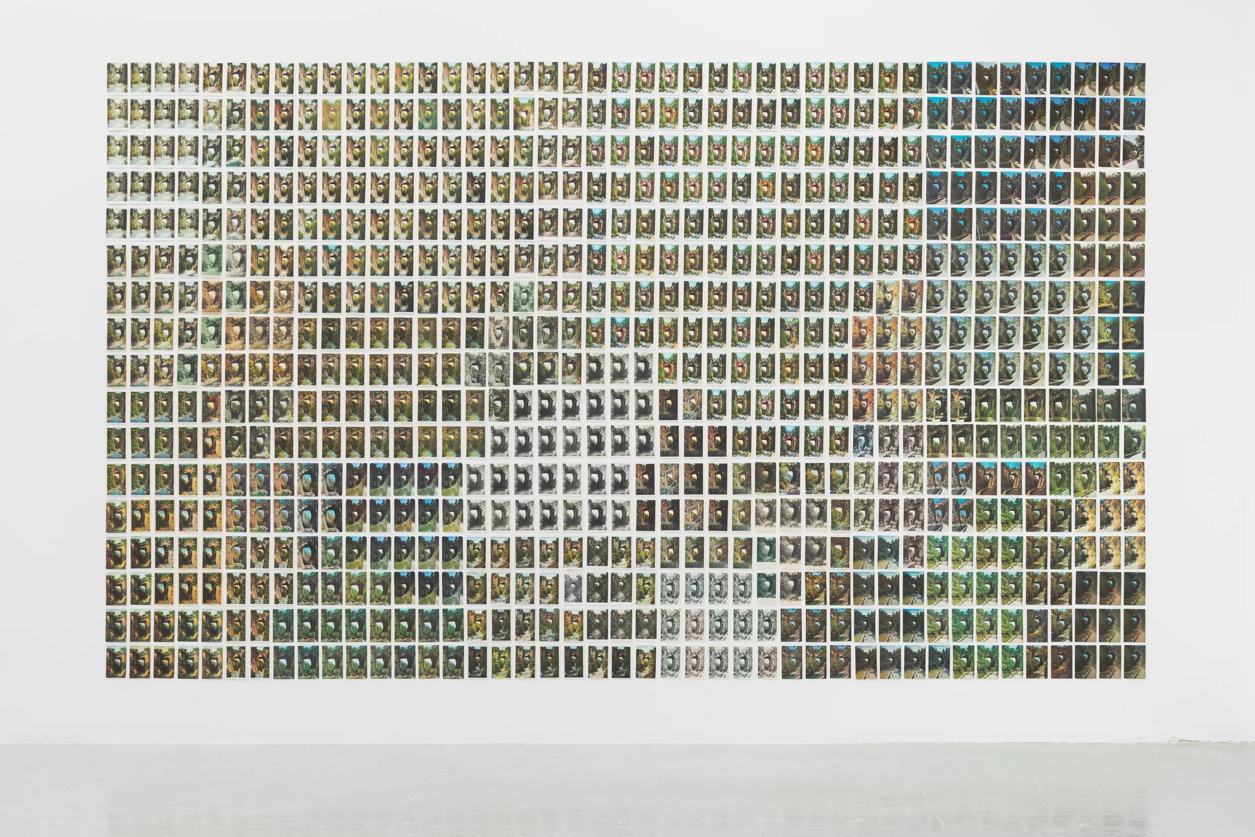 Image for exhibition titled Zoe Leonard