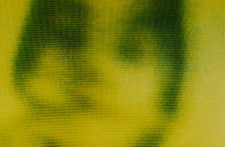 Thumbnail image for exhibition titled Harmony Korine