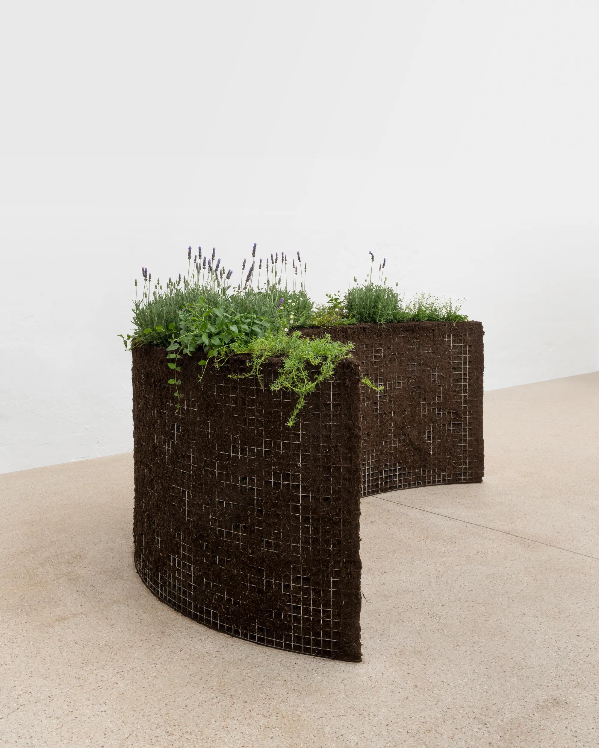 Image for exhibition titled Meg Webster