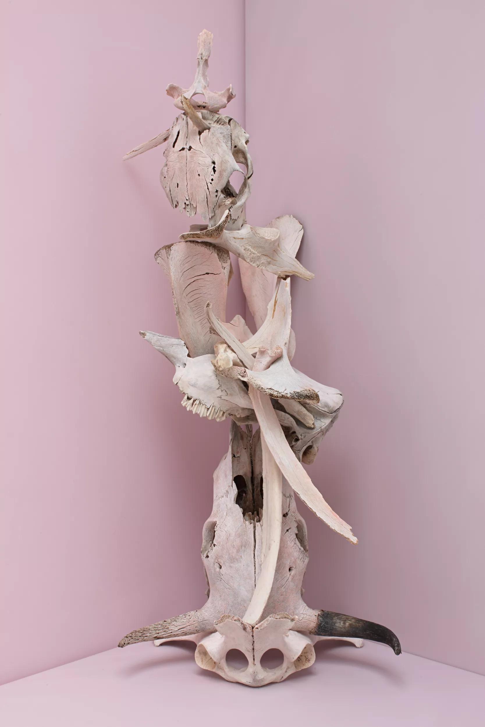 Image for exhibition titled Larry Bamburg