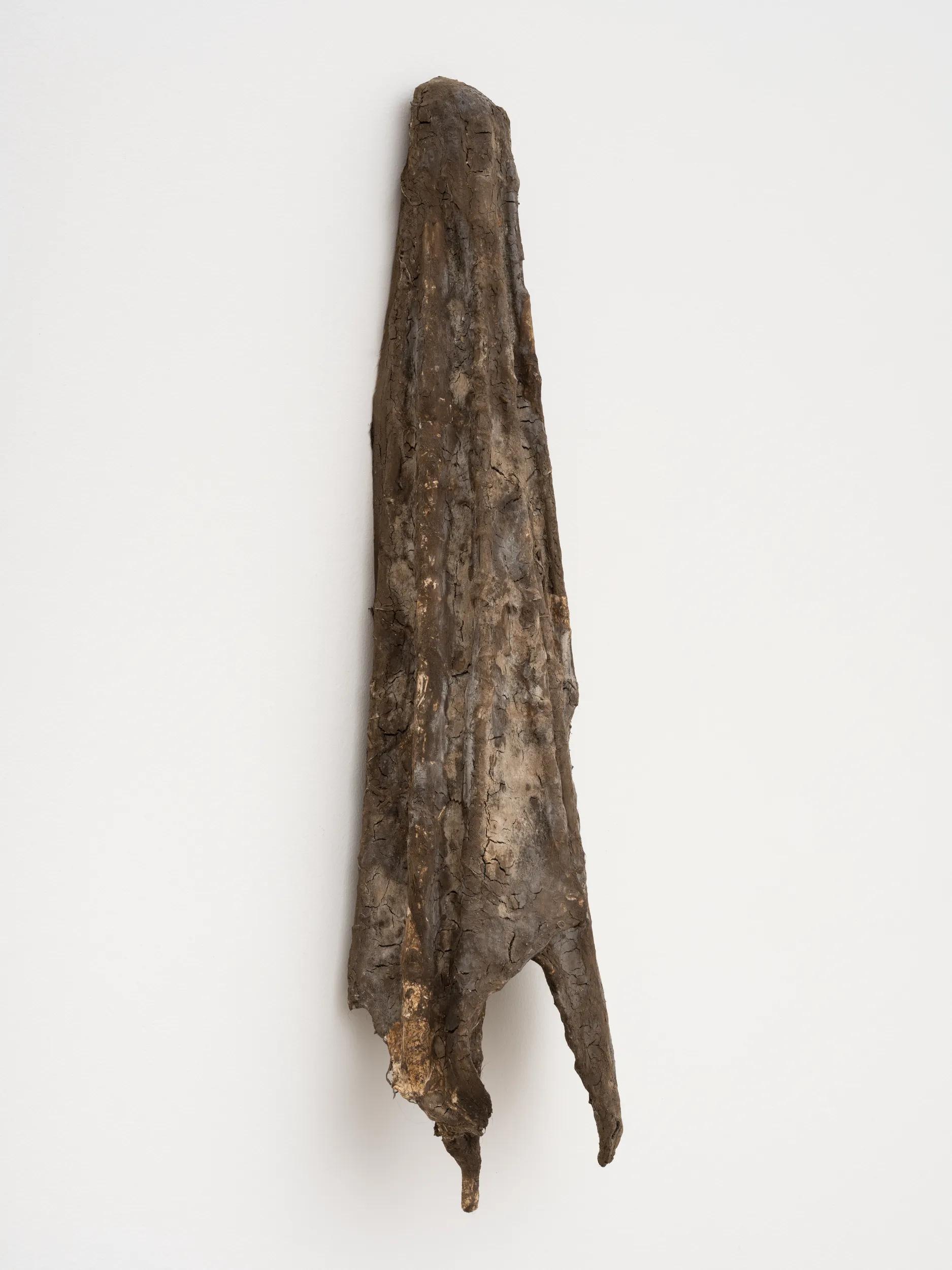 Image for exhibition titled Rachael Louise Bailey