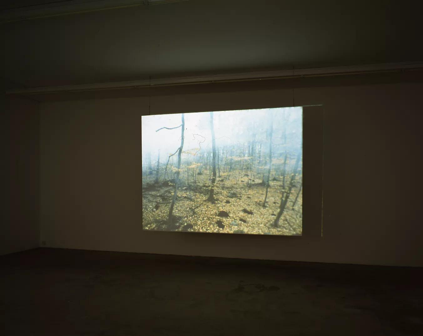 Image for exhibition titled Rachel Khedoori