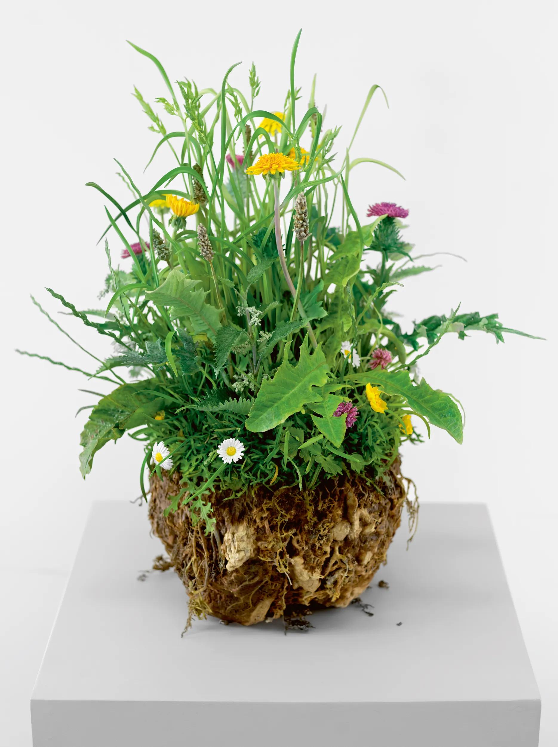 Image for exhibition titled Keith Tyson