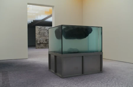 Image for ursula titled Pierre Huyghe’s Polyphonic Soulscape at Fondation Beyeler