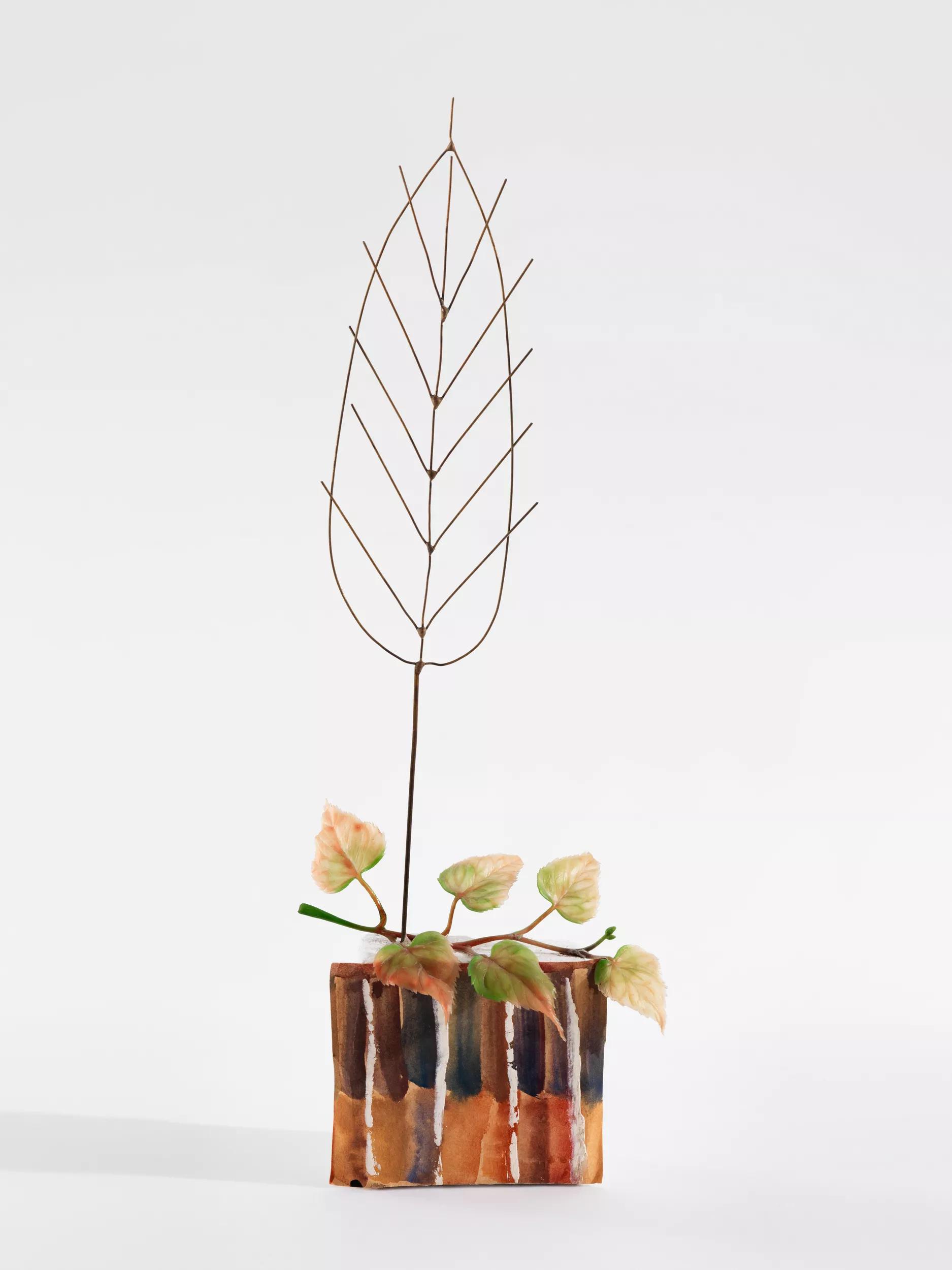 Image for exhibition 