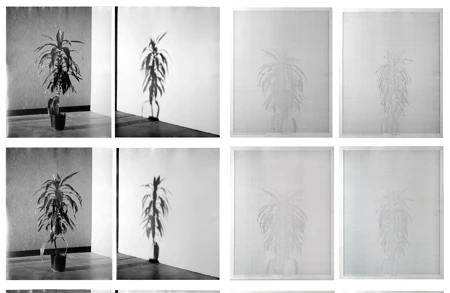 Thumbnail Image for Ursula Article titled The Shadow and the Gap: A rare look at Charles Gaines’ Shadows series