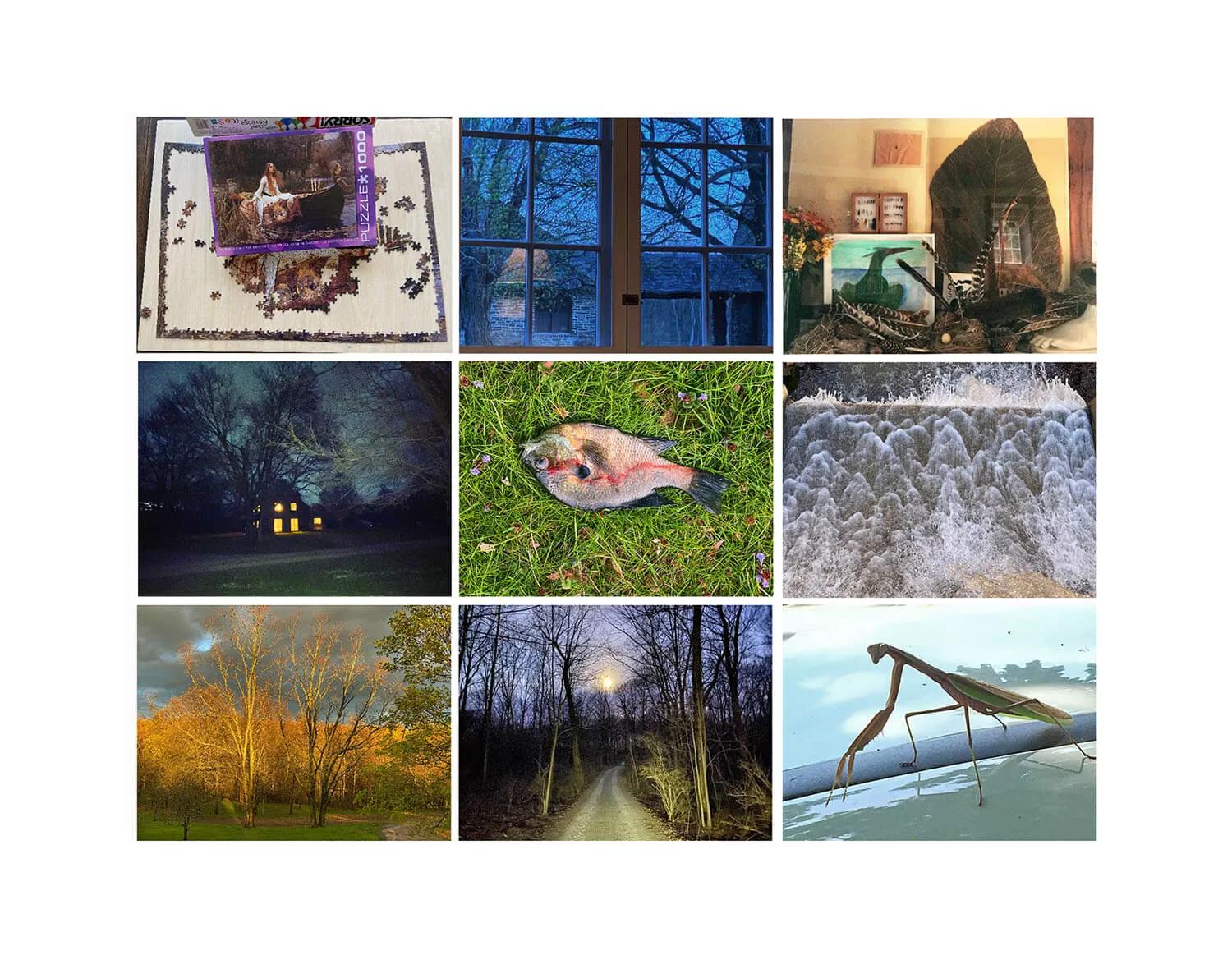 Image for exhibition titled Upstate