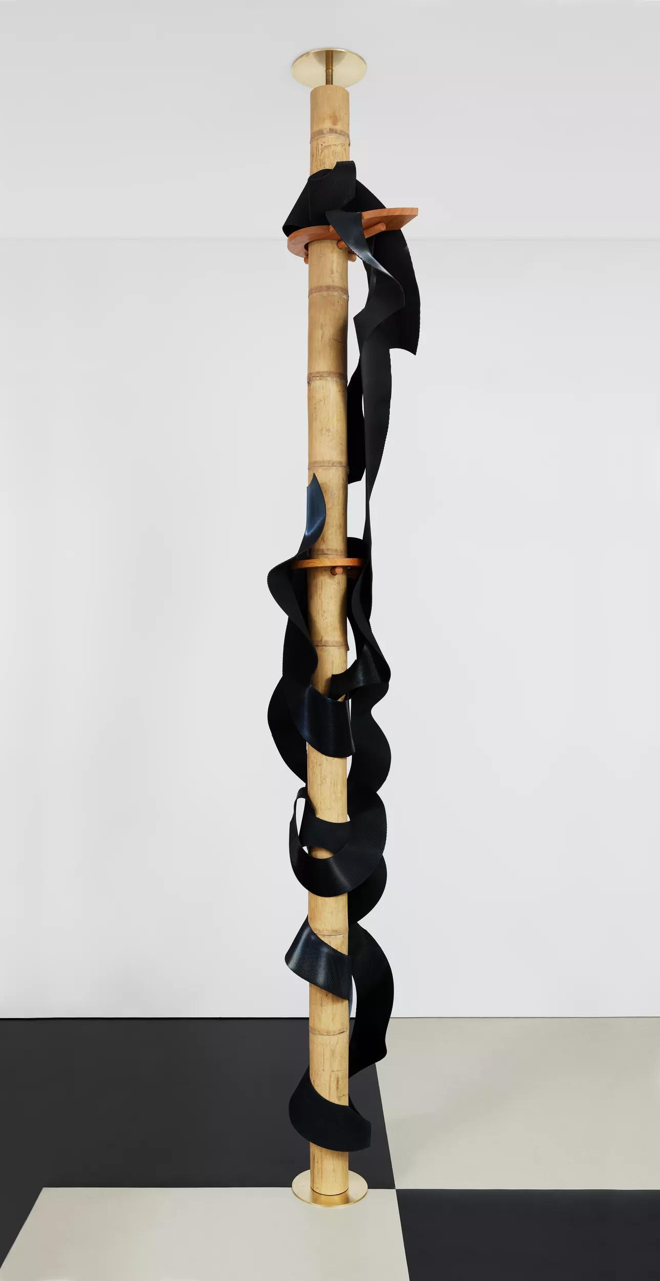 Image for exhibition titled Leonor Antunes