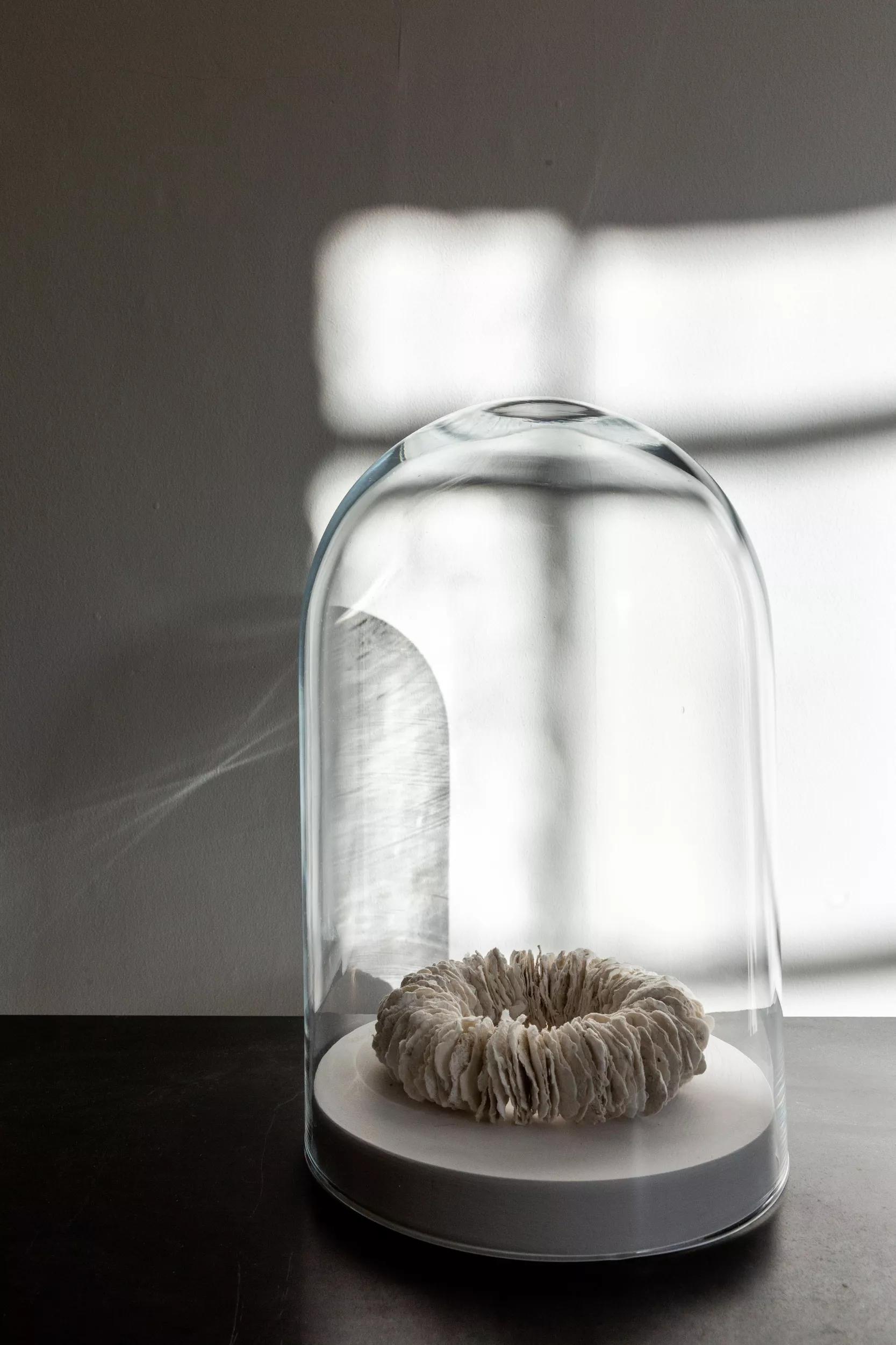 Image for exhibition 