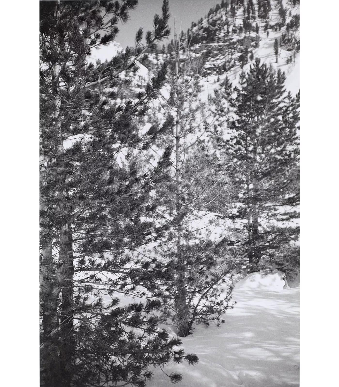 Image for exhibition titled Günther Förg
