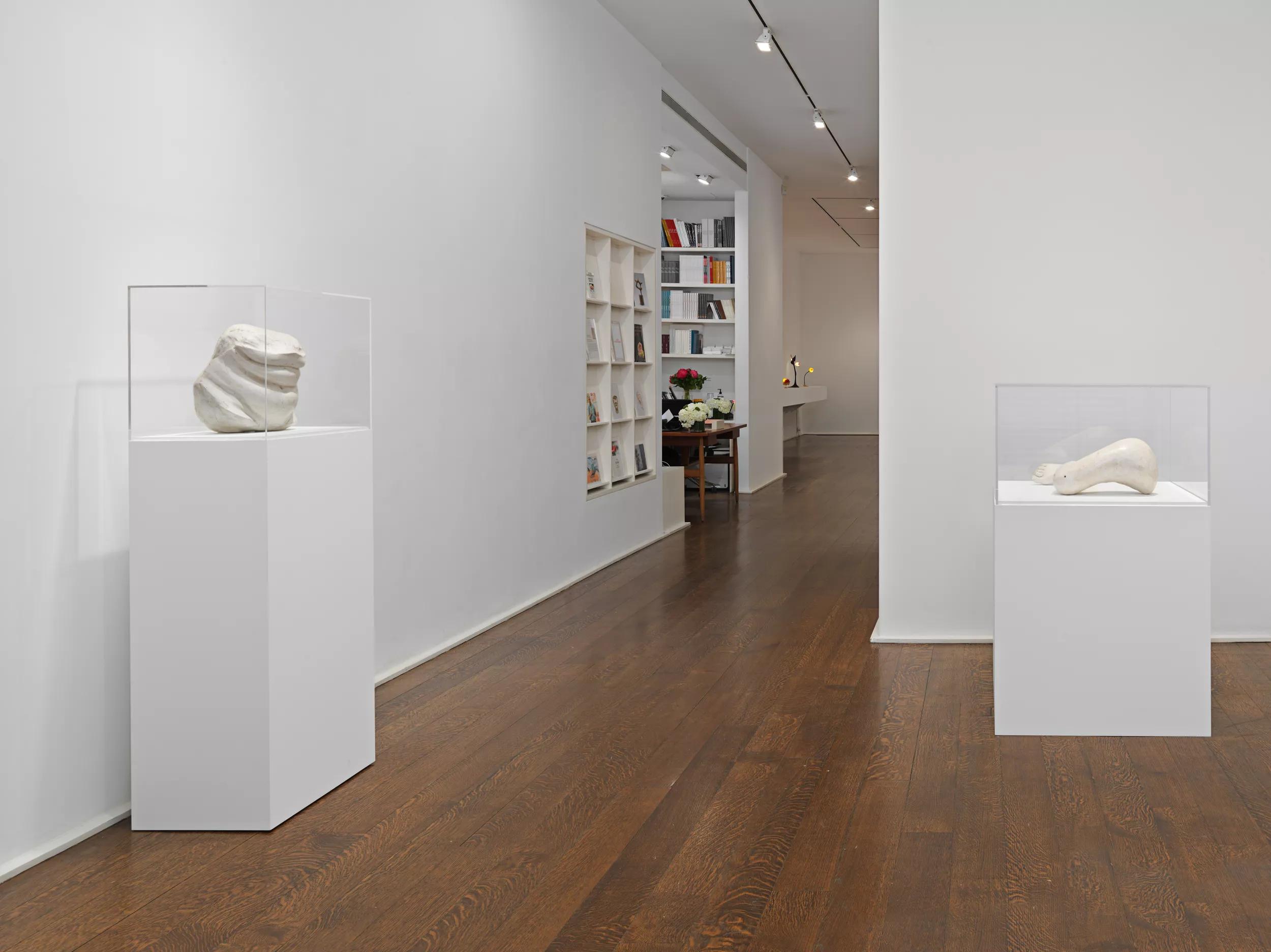 Installation view image for Installation views