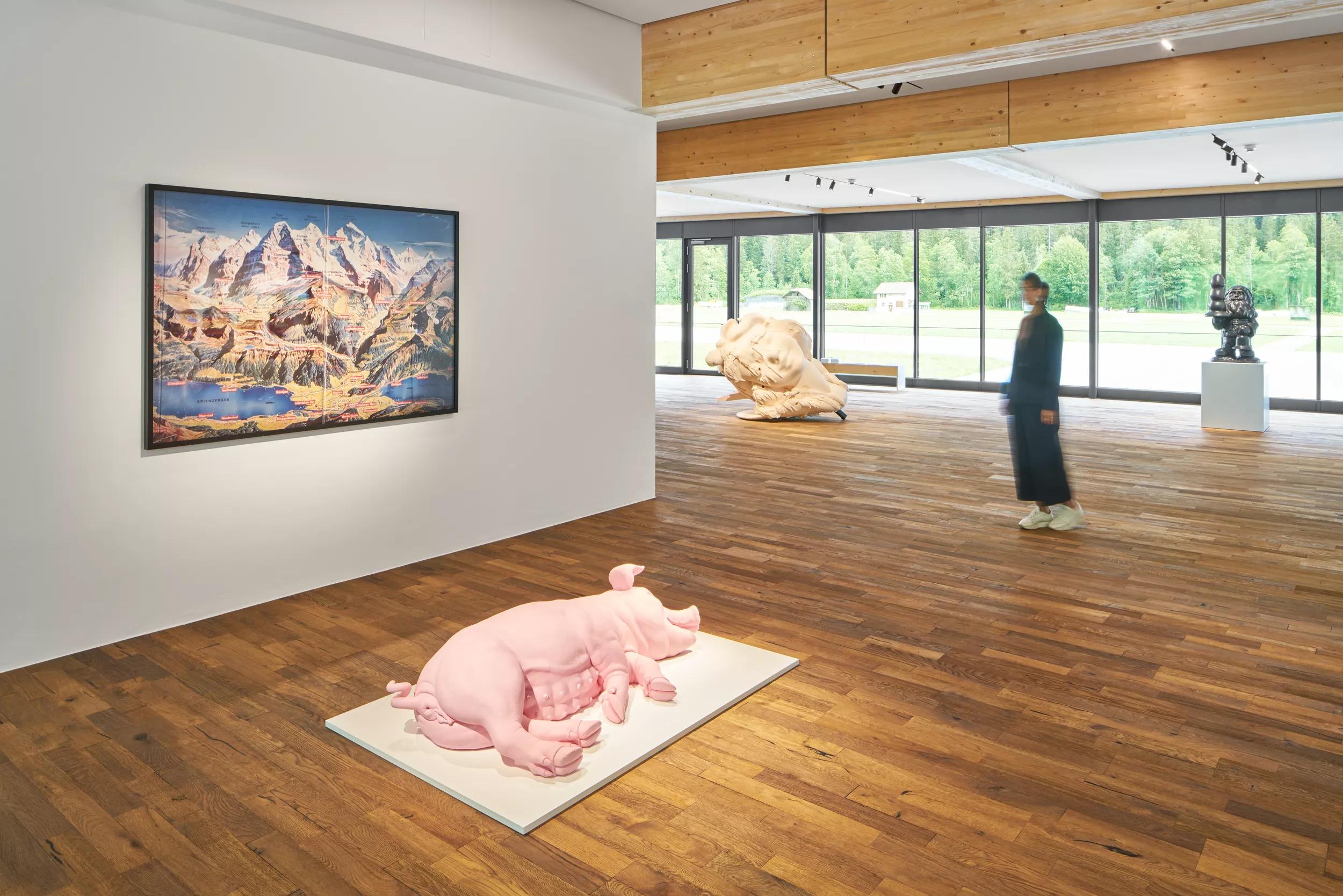 Installation view image for Installation views