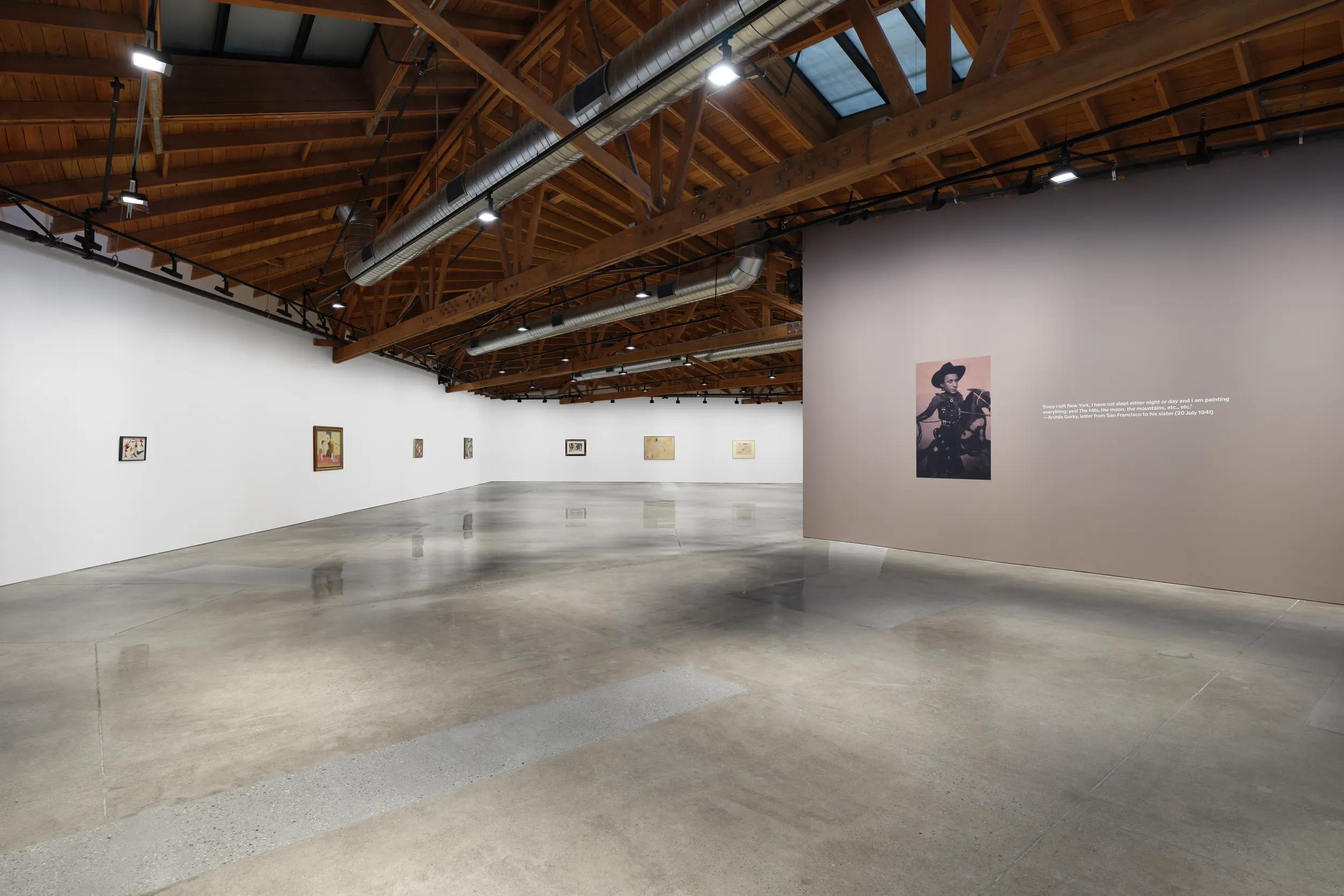 Installation view image for Installation Views