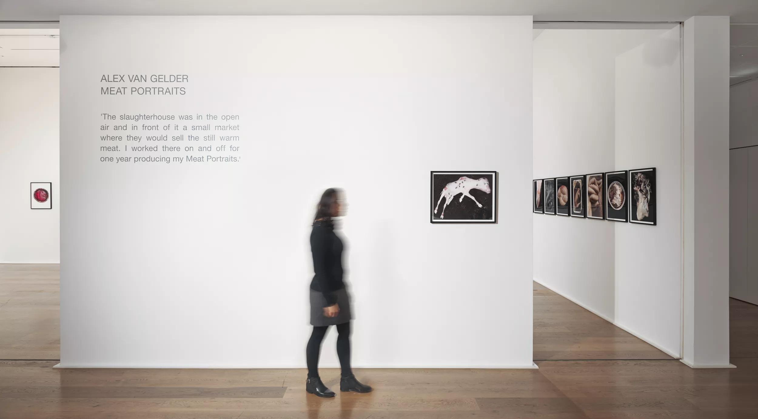 Installation view image for Installation views
