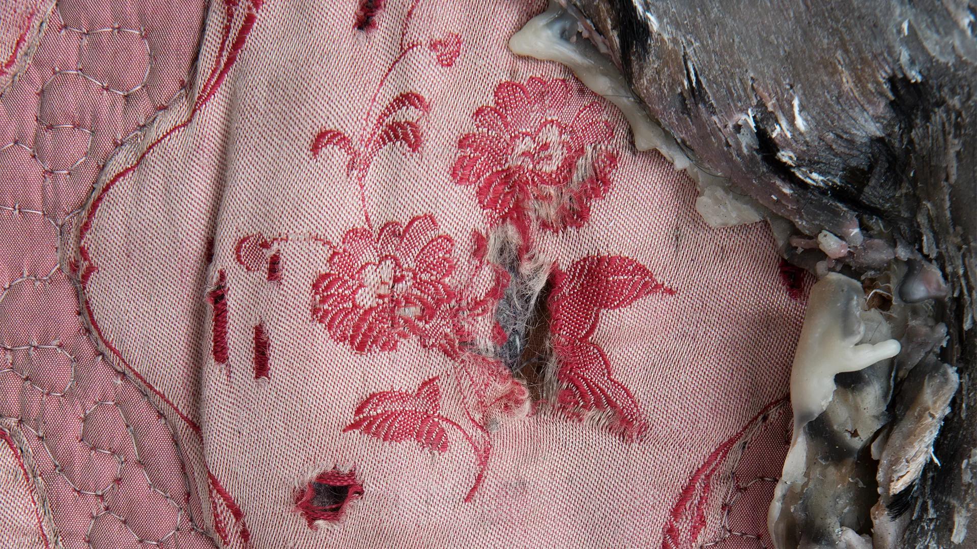 Image for exhibition 