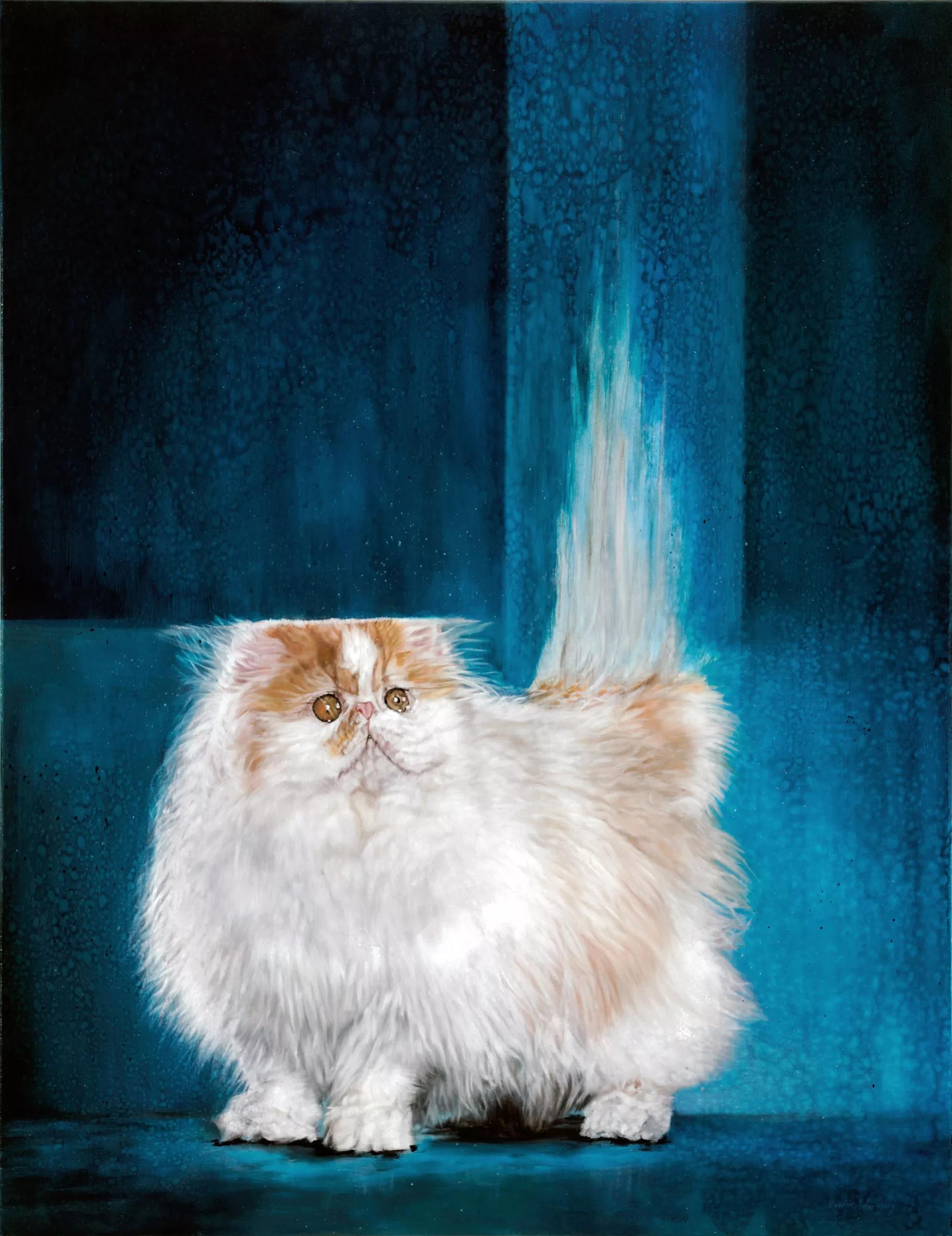 Image for exhibition 