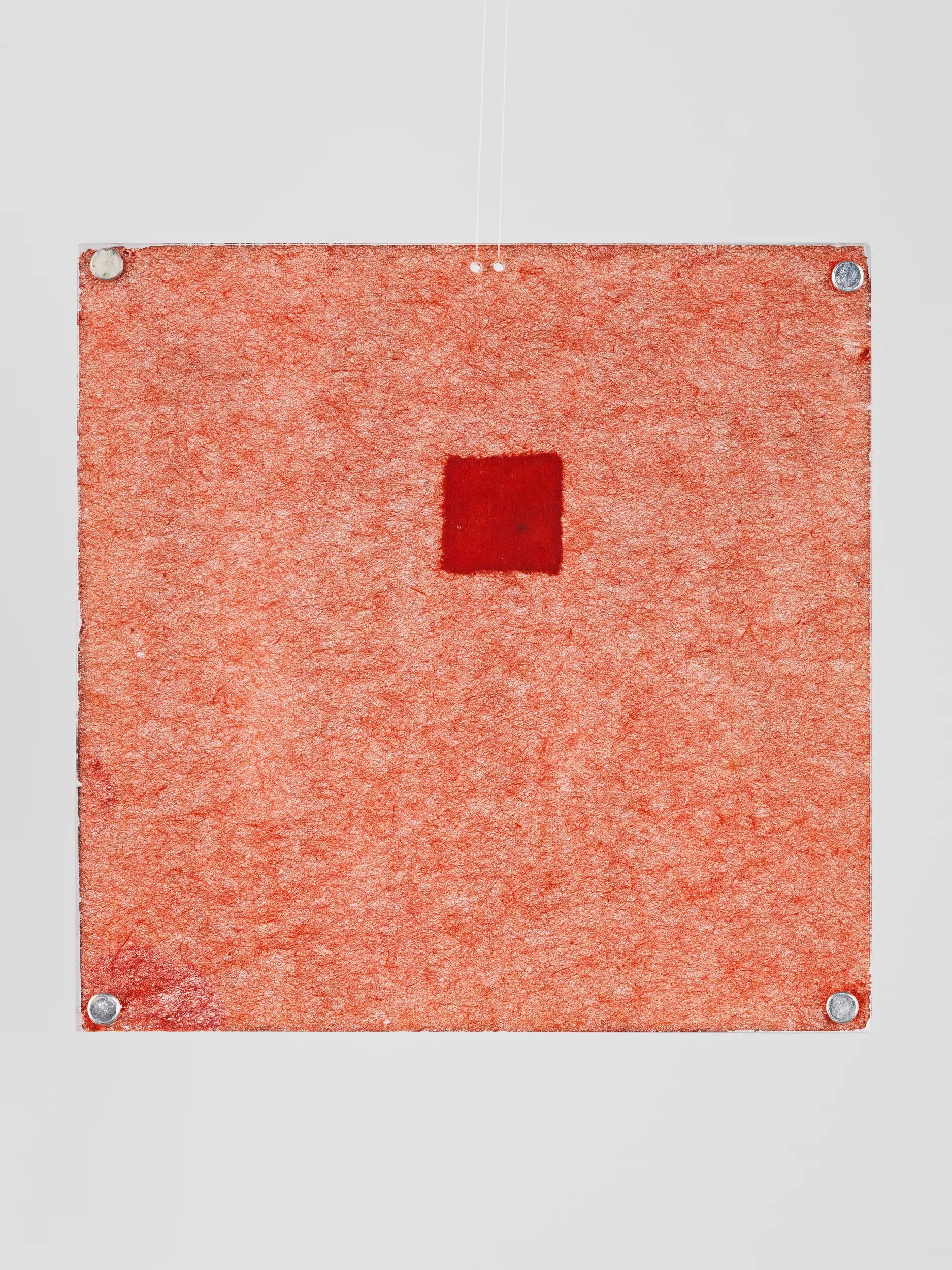 Image for exhibition 