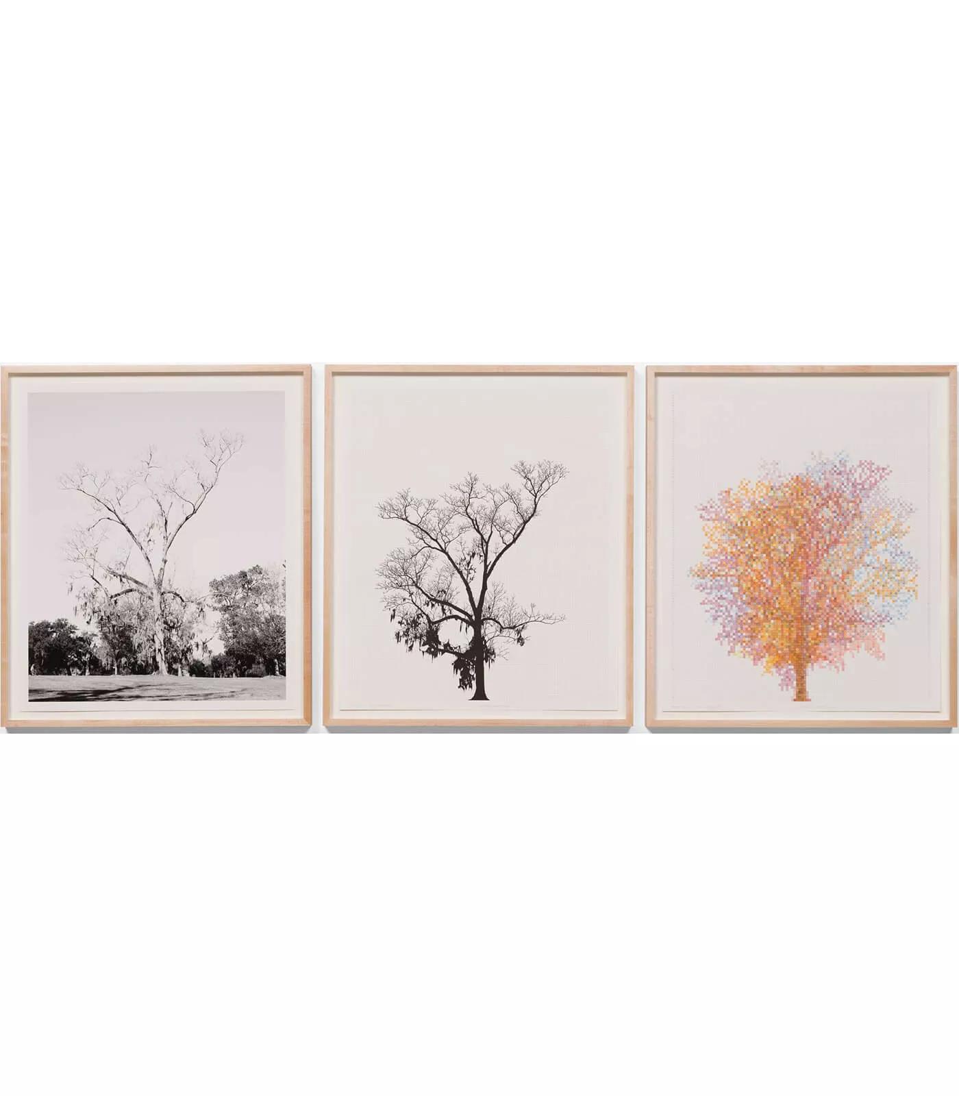 Image for exhibition titled Charles Gaines