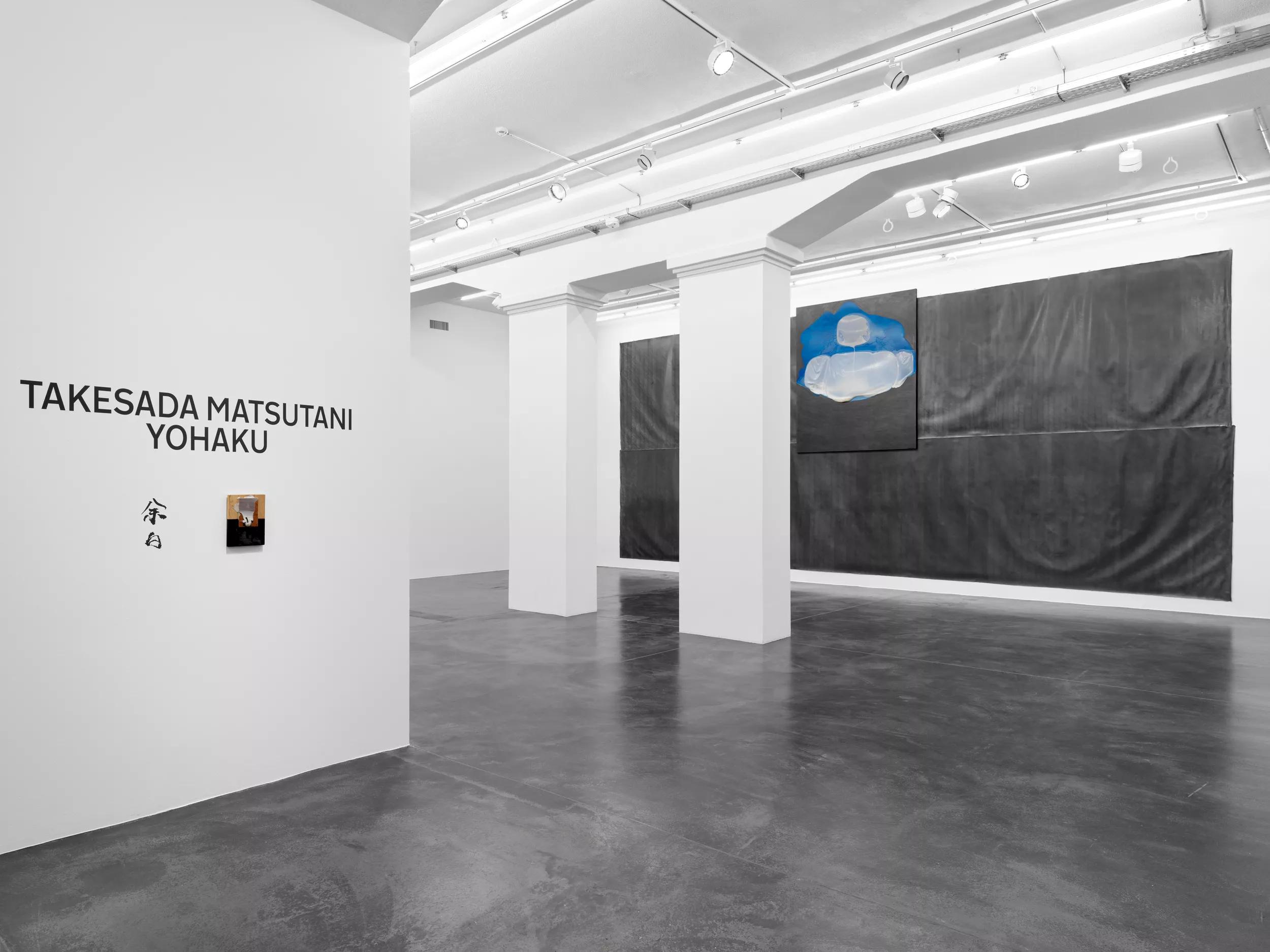 Installation view image for Installation views