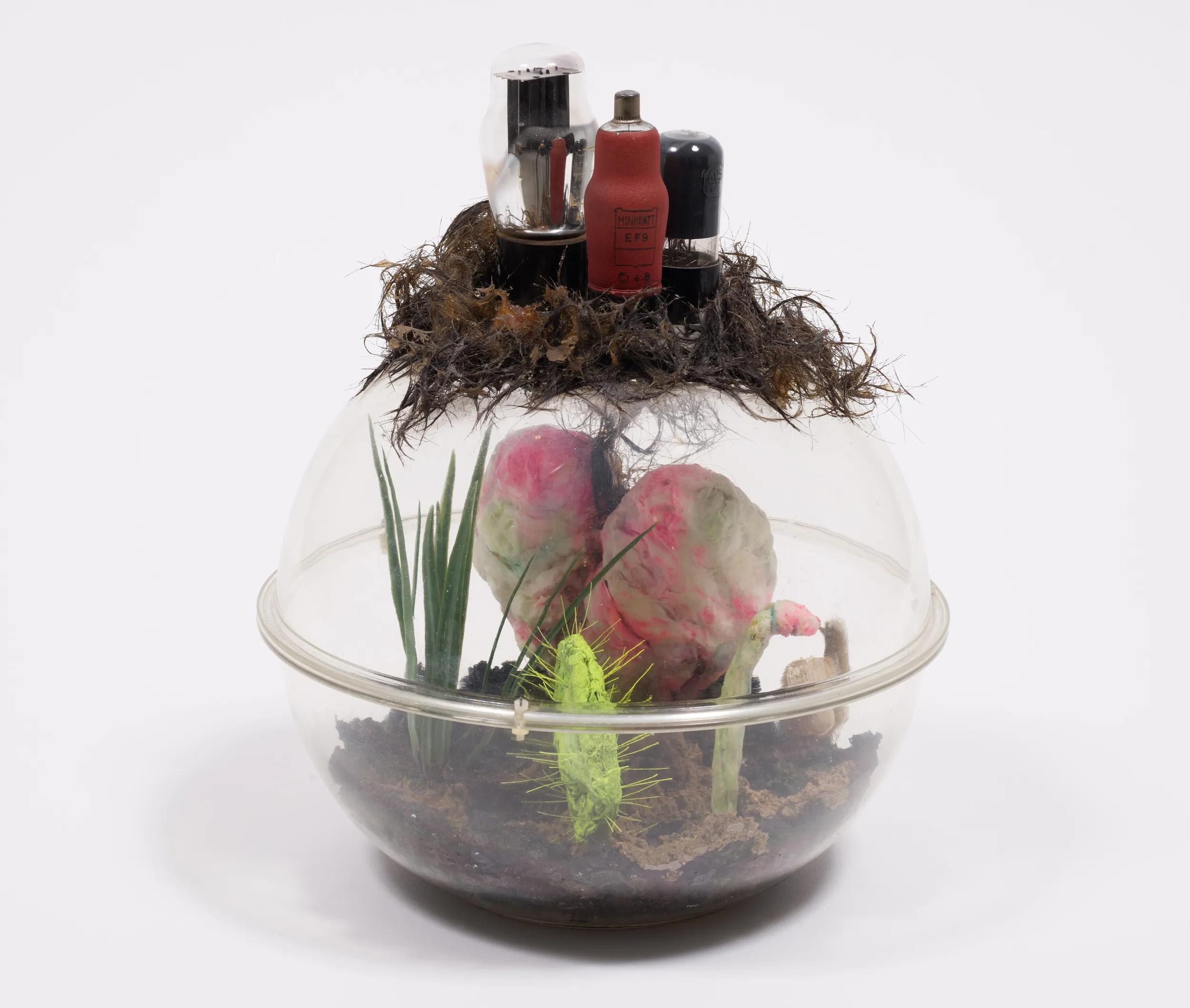 Image for exhibition titled Tetsumi Kudo