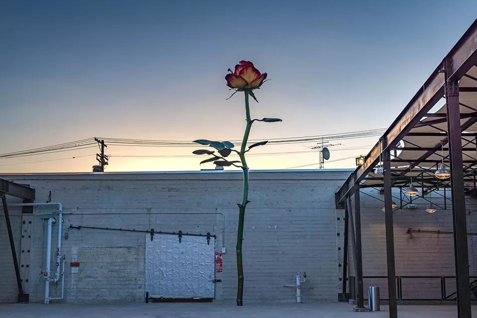 Isa Genzken, Rose III, 2016, Hauser & Wirth Downtown Los Angeles, 2016. Courtesy the artist, Hauser & Wirth and Galerie Buchholz Cologne / Berlin / New York © Artists Rights Society (ARS) New York / VG Bild-Kunst, Bonn. Photo: Phoebe Solomon