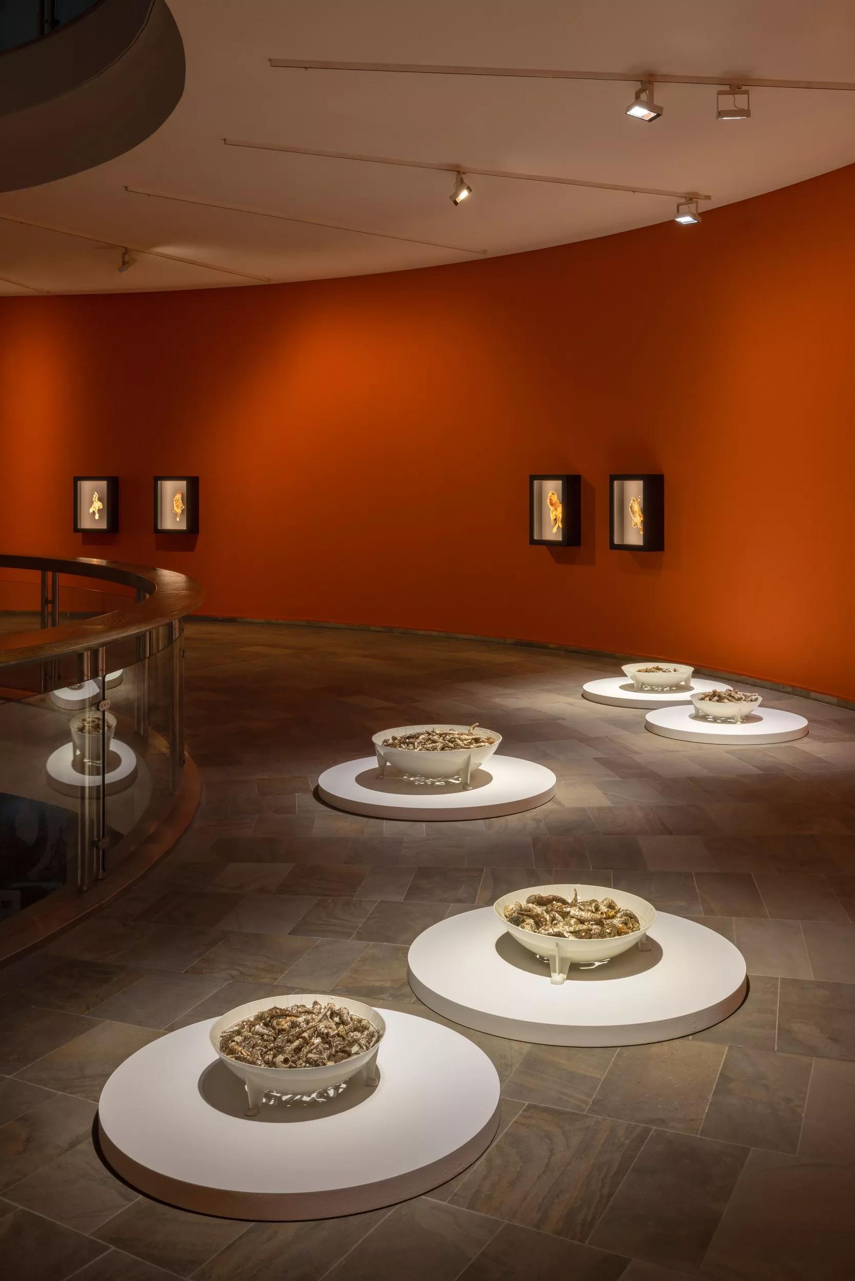 Image for exhibition 