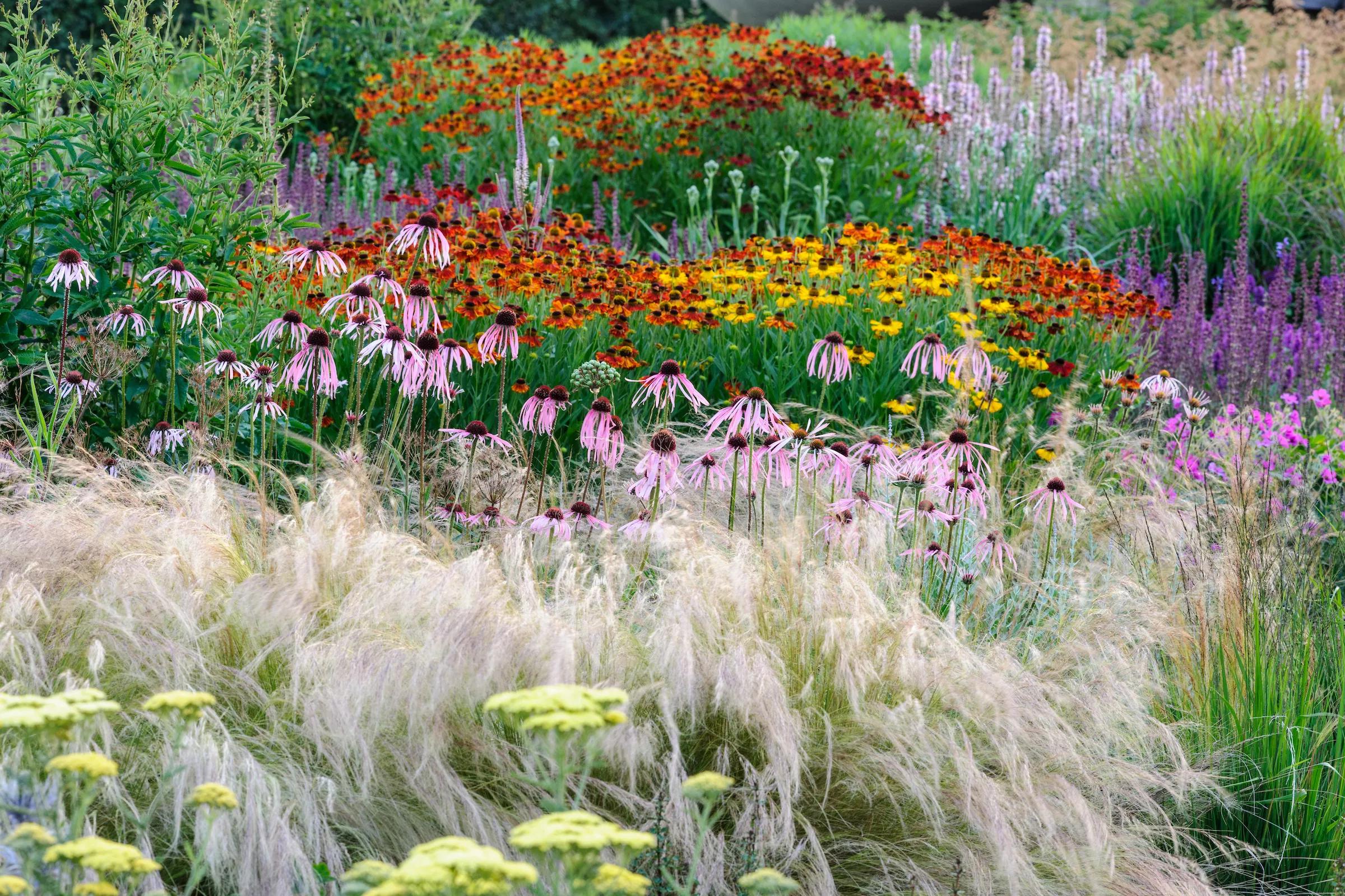 Hero image for event titled Sensory Summer in Oudolf Field
