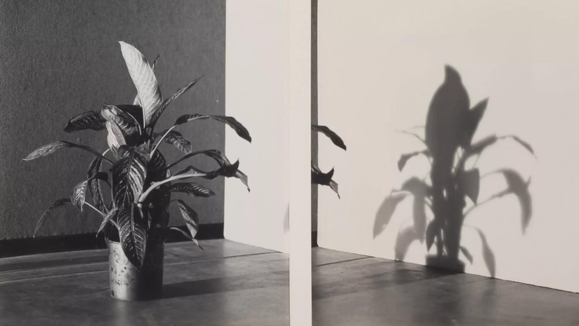 Image for exhibition 