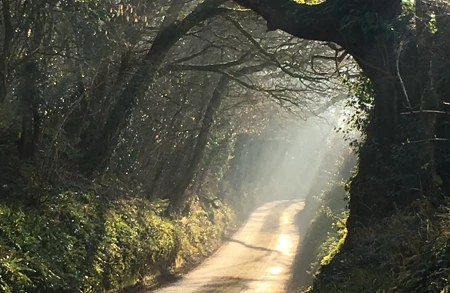 Image for news titled Walk & Talk with Jacqueline Moore