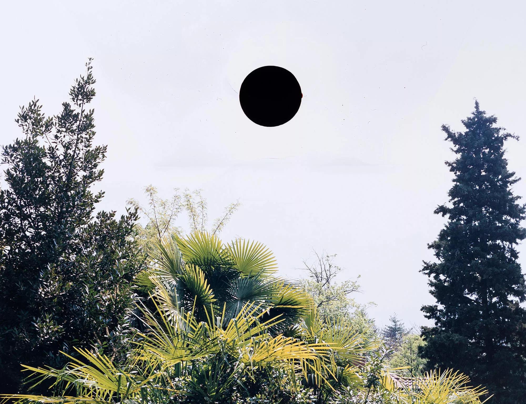Hero image for exhibition titled Homegrown<br><span style="font-size: large;">The complete collection of art from the Hauser & Wirth community</span>