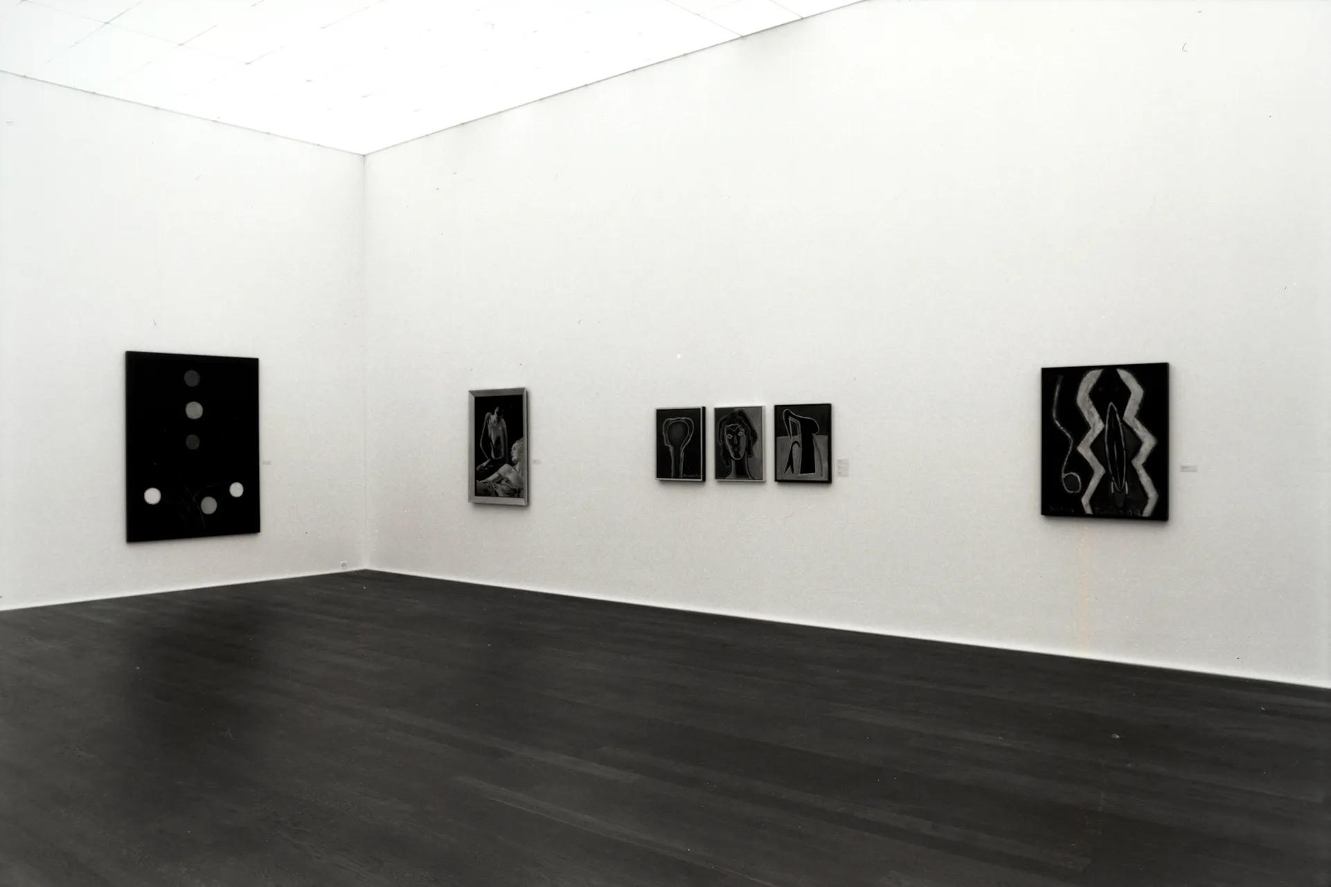 Installation view image for INSTALLATION VIEWS