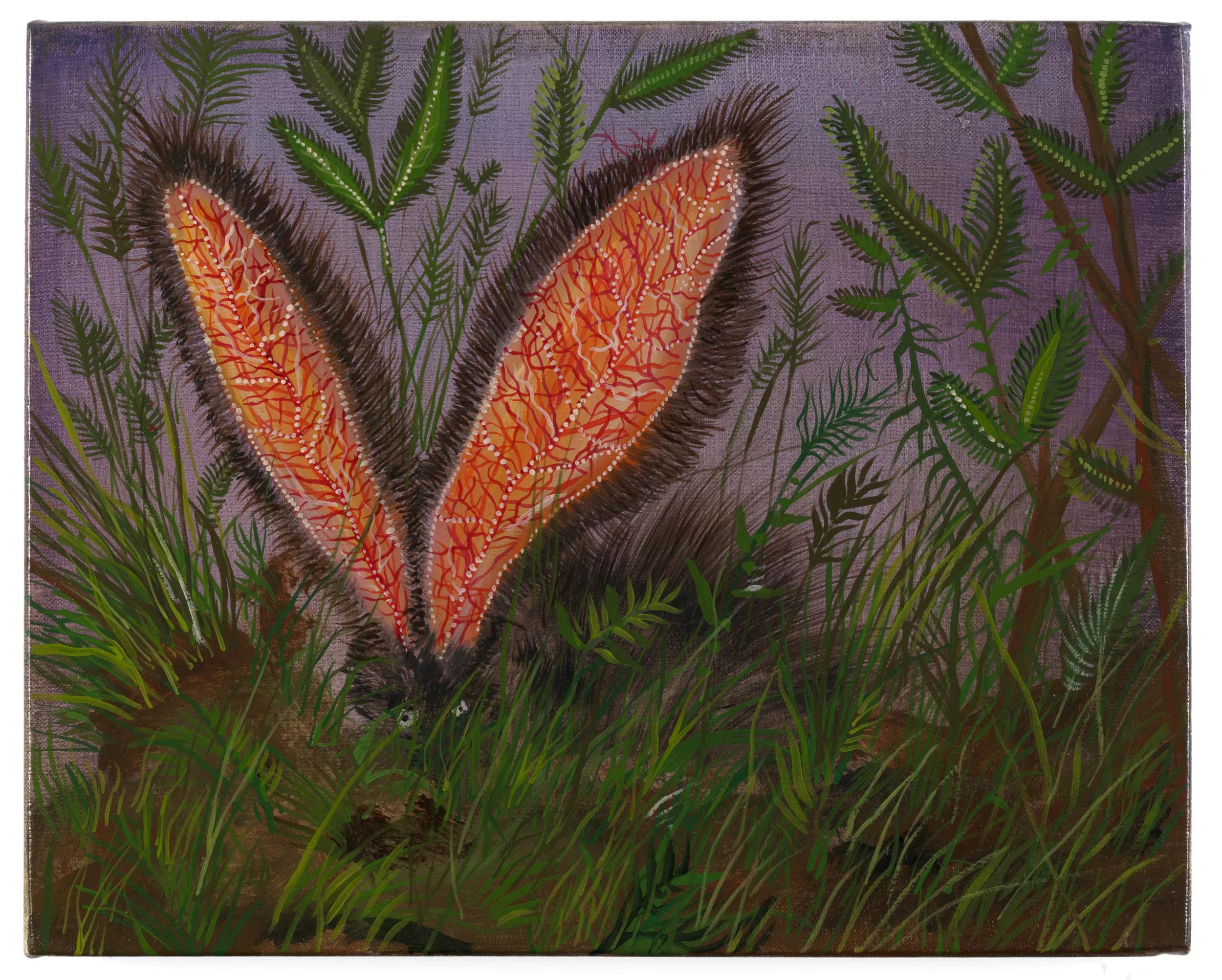Image for exhibition 