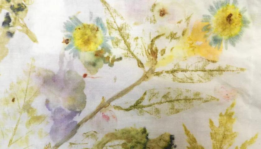 Hero image for event titled Traces of Nature Workshop