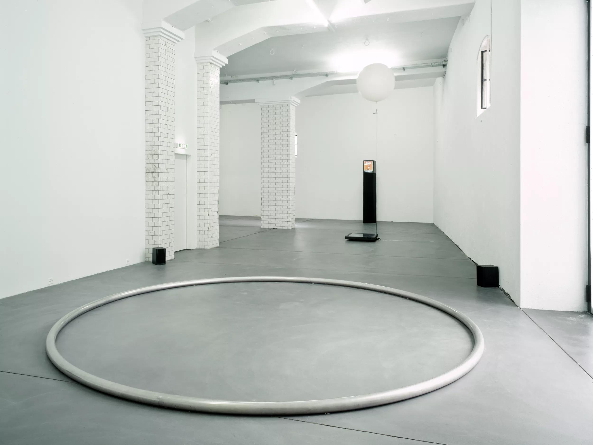 Image for Roman Signer