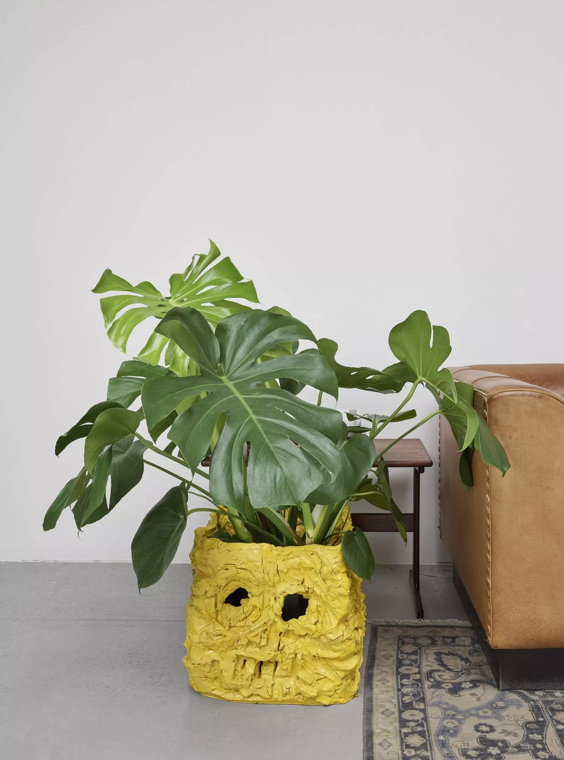 Image for exhibition titled Rashid Johnson