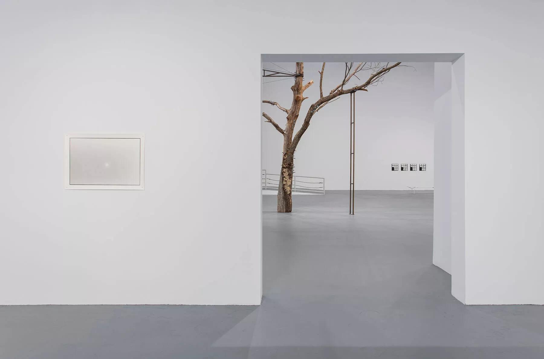 Image for exhibition titled About Zoe Leonard