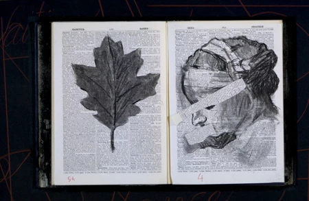 Thumbnail image for exhibition titled fragilités
