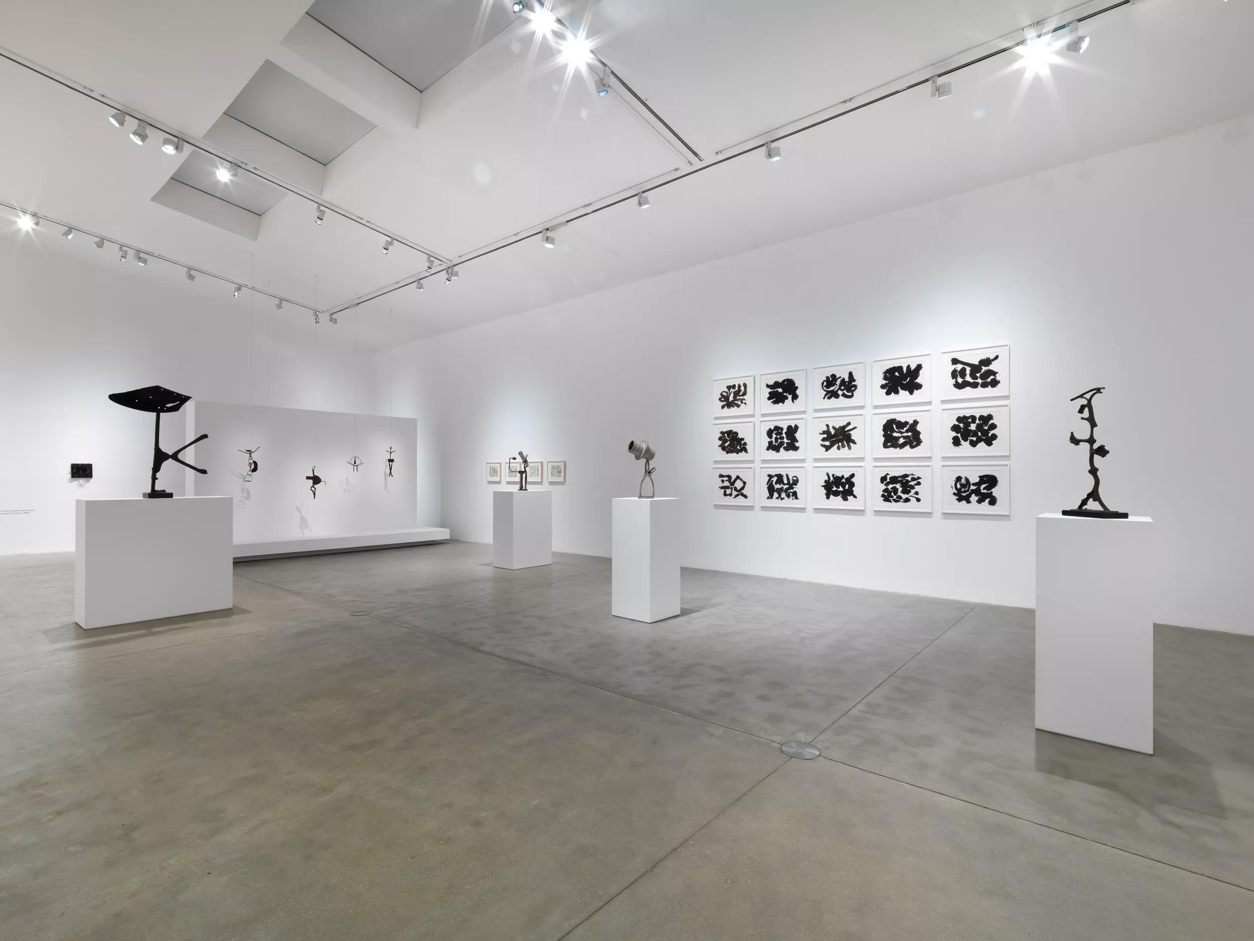 Installation view image for Installation views