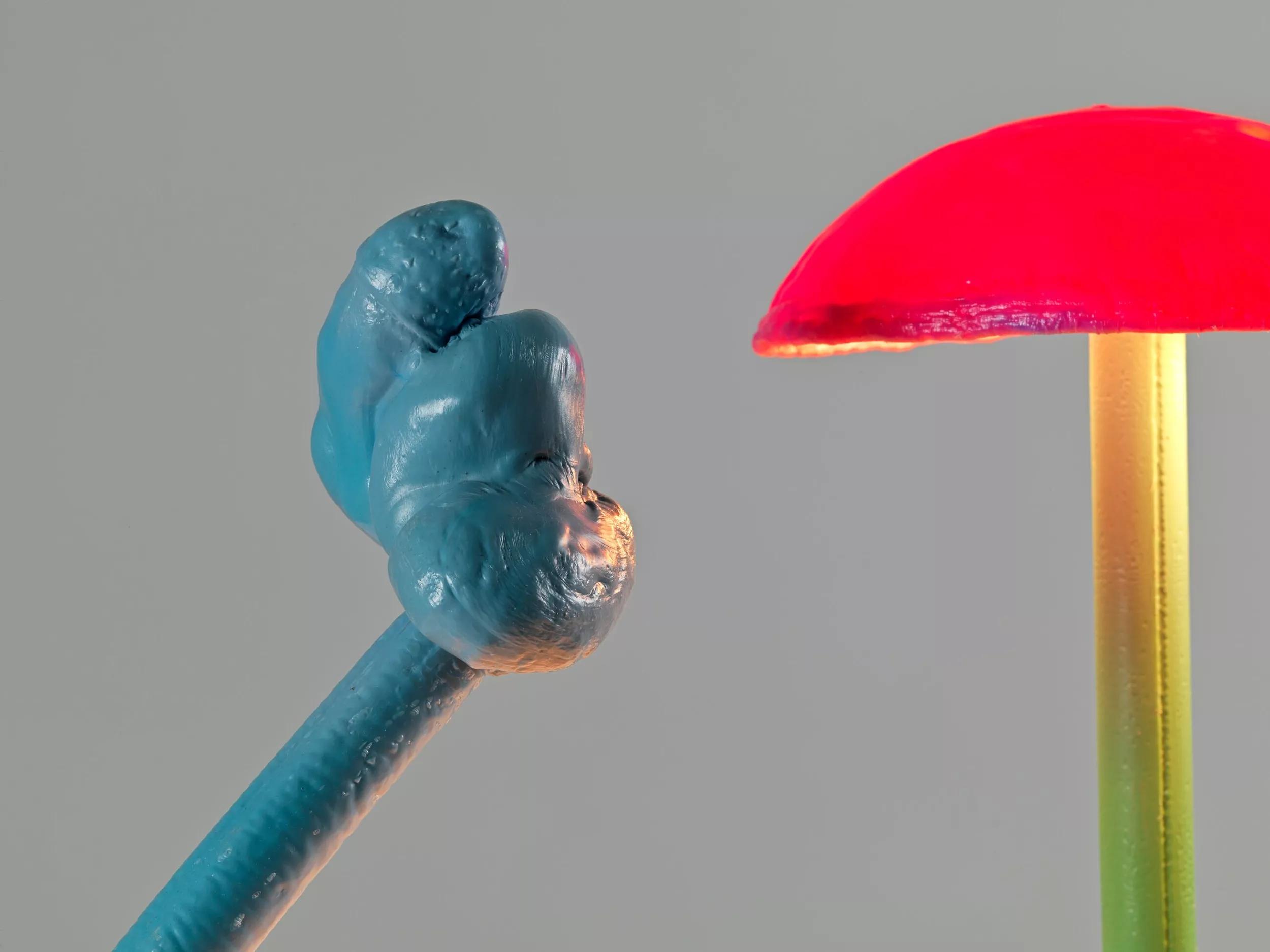 Hero image for event titled In Conversation: Nature Thinking with Mika Rottenberg, Stefanie Hessler & Art Switch