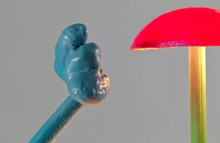 Thumbnail image for event called In Conversation: Nature Thinking with Mika Rottenberg, Stefanie Hessler & Art Switch