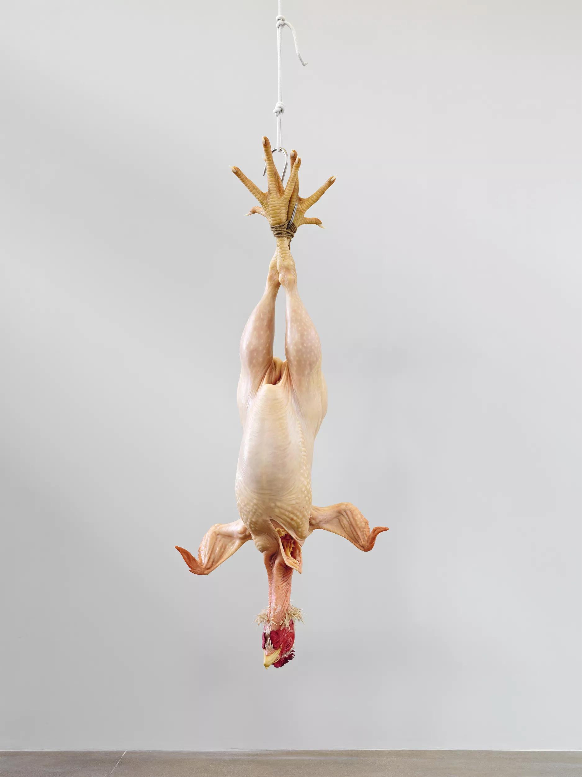 Image for exhibition 