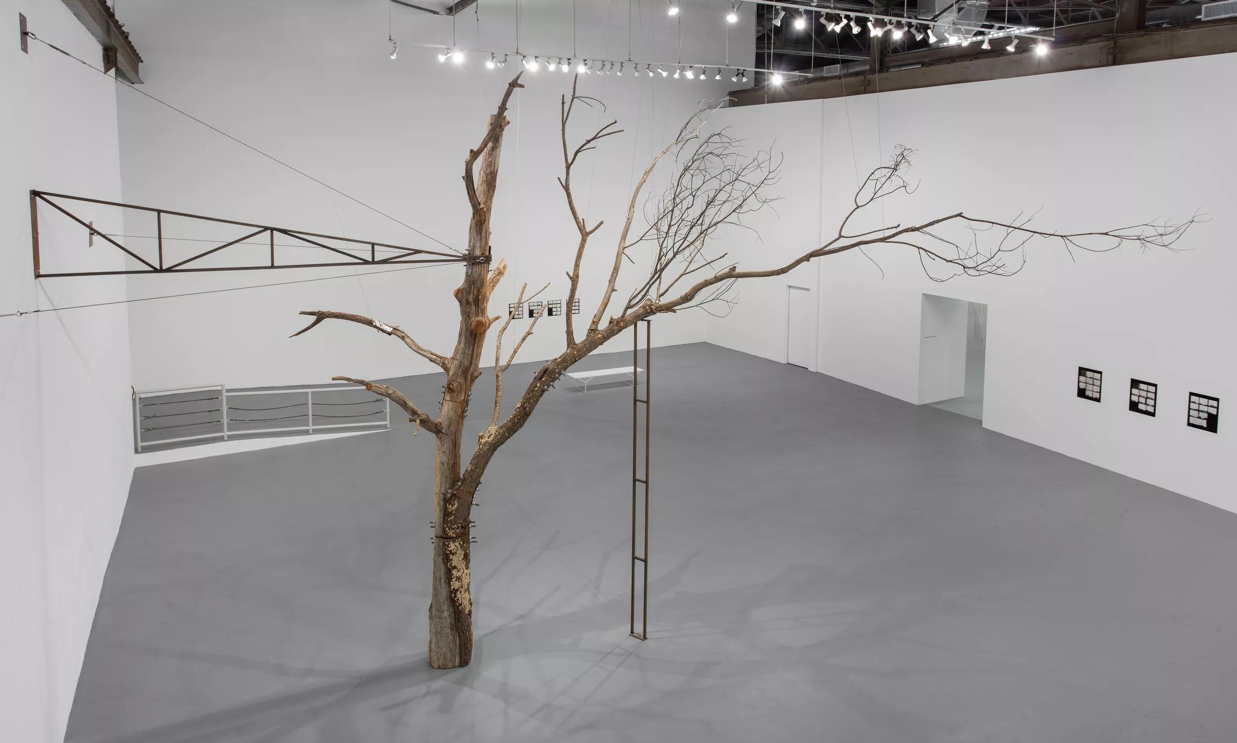 Image for Zoe Leonard
