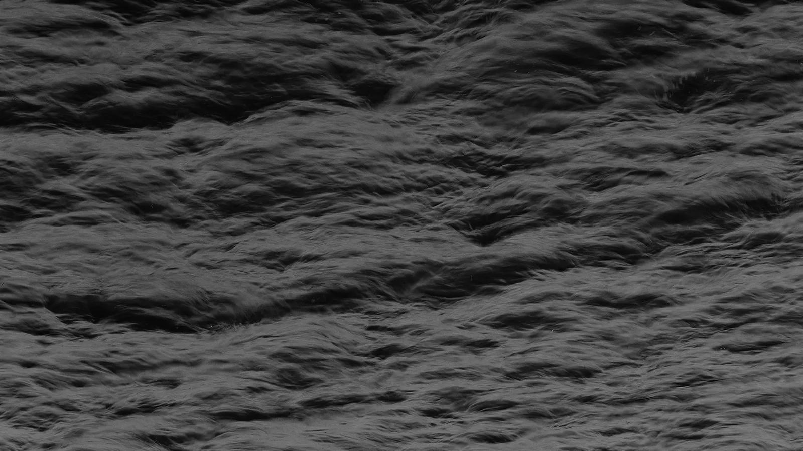Image for Erola Arcalís