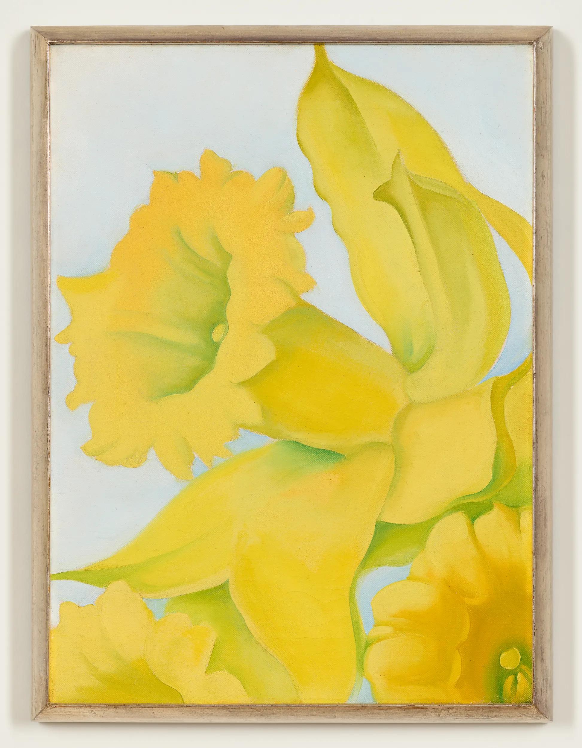 Image for exhibition titled Georgia O'Keeffe